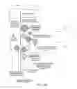 Fig. 07 - PRIORITIZING POPULATION SEGMENT ASSIGNMENTS TO OPTIMIZE CAMPAIGN GOALS