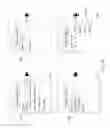 Fig. 11 - Mobile content cross-inventory yield optimization