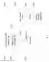 Fig. 14 - Mobile content cross-inventory yield optimization