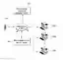 Fig. 01 - Method and system for authenticating software license