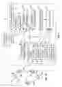 Fig. 07 - REQUESTS FOR QUOTES FROM INDIRECT CREDIT LINES