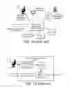 Fig. 02 - Support for user defined functions in a data stream management system