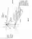 Fig. 06 - DIRECTIONAL INFORMATION SEARCH FROM A MOBILE DEVICE