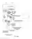 Fig. 07 - DERIVING USER CHARACTERISTICS