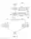 Fig. 22 - DERIVING USER CHARACTERISTICS