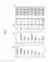 Fig. 09 - Pair character string retrieval system