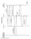 Fig. 04 - NAT traversal for media conferencing
