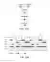 Fig. 10 - Communication period management in a communication system