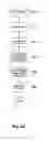Fig. 07 - Dynamic positioning of components using document templates
