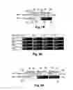 Fig. 10 - Dynamic positioning of components using document templates