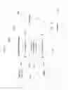 Fig. 16 - USER INTERFACE VISUALIZATIONS