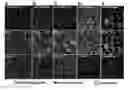 Fig. 01 - COMPOSITIONS FOR LABELING AND IDENTIFYING AUTOPHAGOSOMES AND METHODS FOR MAKING AND USING THEM