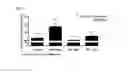 Fig. 02 - COMPOSITIONS FOR LABELING AND IDENTIFYING AUTOPHAGOSOMES AND METHODS FOR MAKING AND USING THEM