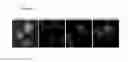 Fig. 10 - COMPOSITIONS FOR LABELING AND IDENTIFYING AUTOPHAGOSOMES AND METHODS FOR MAKING AND USING THEM