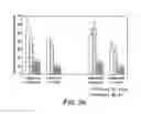 Fig. 08 - Immunogenic peptides