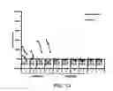 Fig. 19 - Immunogenic peptides