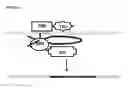 Fig. 04 - Gene targeting in plants using a chimeric multi domain recombination protein