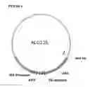 Fig. 05 - Gene targeting in plants using a chimeric multi domain recombination protein