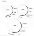 Fig. 07 - Gene targeting in plants using a chimeric multi domain recombination protein