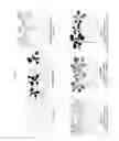 Fig. 12 - Chimeric promoters and methods of use