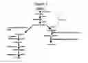 Fig. 02 - ENHANCED ACCUMULATION OF CAROTENOIDS IN PLANTS
