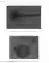 Fig. 18 - Phytophthora Nejat-Spina
