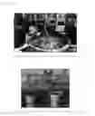 Fig. 44 - Phytophthora Nejat-Spina