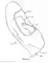 Fig. 10 - Garment Having Work Revealing Window and Method of Use