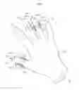 Fig. 01 - PADDED GLOVE