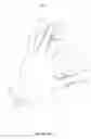 Fig. 04 - PADDED GLOVE