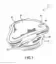 Fig. 02 - THERMAL EAR AND FACE COVERING