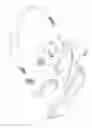 Fig. 03 - Swimming goggles buckle