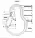 Fig. 06 - Hook article