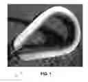 Fig. 02 - ROPE THIMBLE WITH CLOSED CURVE