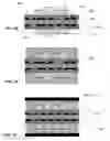 Fig. 04 - Method for embedding electrical components