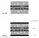 Fig. 06 - Method for embedding electrical components