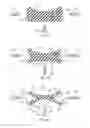 Fig. 08 - Sole structure comprising a fluid filled member with slots