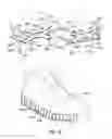 Fig. 14 - Sole structure comprising a fluid filled member with slots