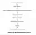 Fig. 01 - Methods and media formulations for large-scale and efficient micropropagation of bio-energy grasses