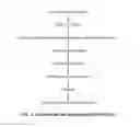 Fig. 02 - Methods and media formulations for large-scale and efficient micropropagation of bio-energy grasses