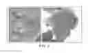 Fig. 03 - Methods and media formulations for large-scale and efficient micropropagation of bio-energy grasses