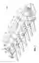 Fig. 02 - Dual Idler Rolls for Corn Header