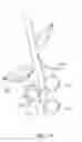 Fig. 12 - Dual Idler Rolls for Corn Header