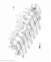 Fig. 02 - Cantilevered Gathering Auger For Corn Header