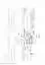 Fig. 08 - Cantilevered Gathering Auger For Corn Header