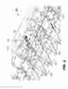 Fig. 04 - Crop Capturing Member for Corn Header with Gathering Auger