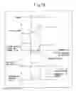 Fig. 14 - EXHAUST PURIFICATION SYSTEM OF INTERNAL COMBUSTION ENGINE