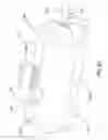 Fig. 27 - Security device for ring products