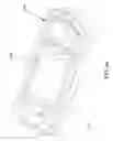 Fig. 31 - Security device for ring products