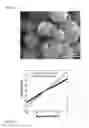 Fig. 04 - Gas sensor using metal oxide nanoparticles, and method for manufacturing same